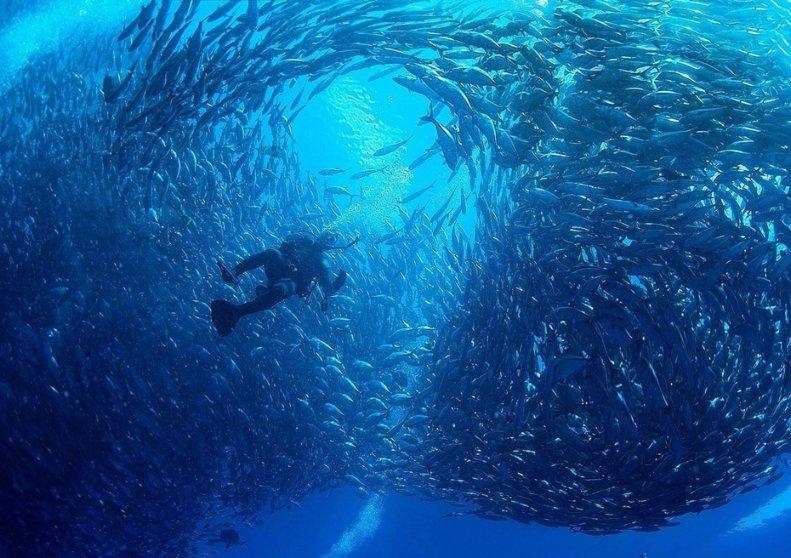 打头阵当先锋