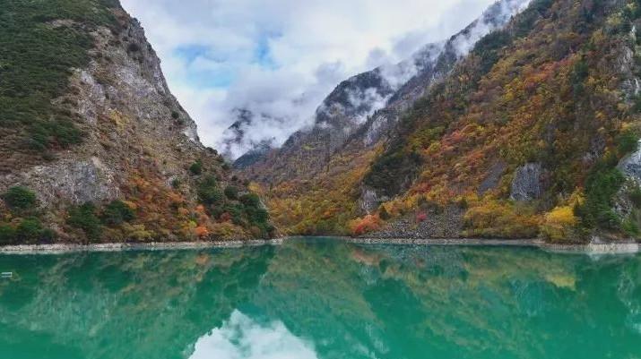 小伙卖“烤包子”8块钱一个，一桶能烤300个，买过都说好